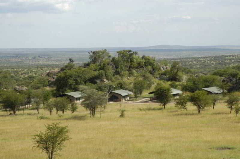 Mbuzi Mawe Serena Camp Серенгети Екстериор снимка